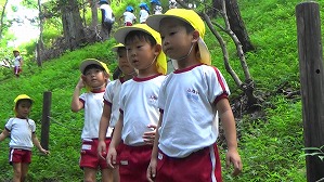 20180806143243(5)