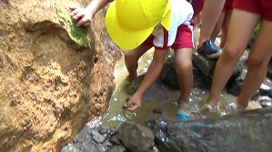 20180806145324(1)