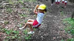 20180806151806(1)