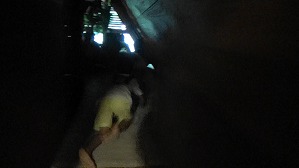 20180806155918(1)