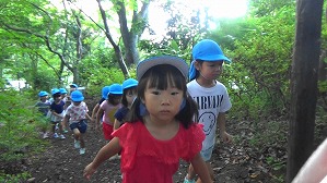 20180807063006(1)