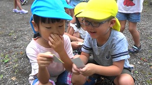 20180807064219(3)