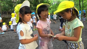20180807064236(4)