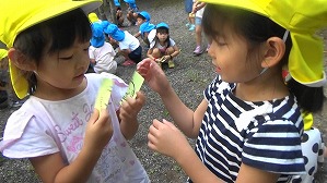 20180807064701(7)