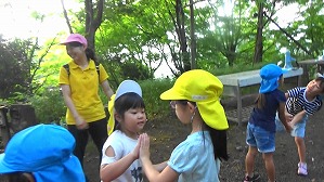 20180807065336(2)