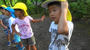 20180807065356(1)