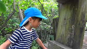 20180807081756(2)
