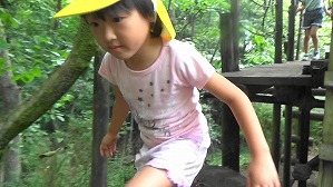 20180807082036(7)