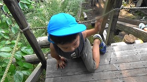 20180807082459(1)