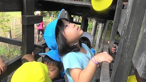 20180807082513(7)