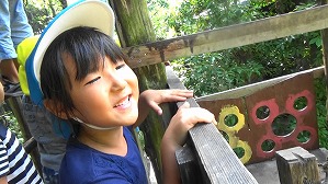 20180807083341(5)