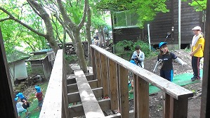 20180807095443(1)