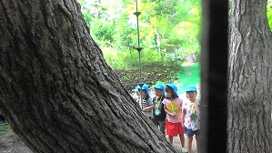 20180807095556(1)