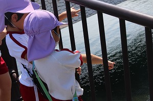 IMG_9829