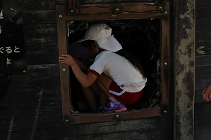 IMG_9856