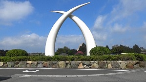 20181009103207 (2)