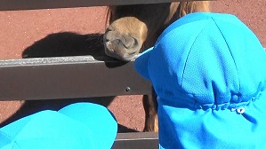 20181009115906 (2)