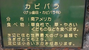 20181009120208(1)