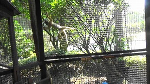 20181009122541 (3)