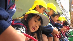 20181009132859 (3)