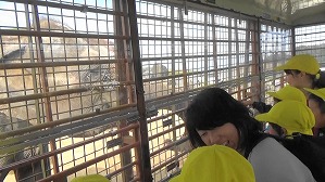 20181009135449 (4)