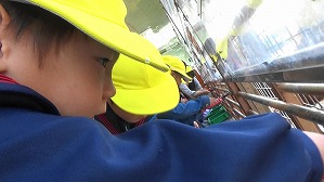 20181009141814 (3)