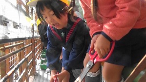 20181009141933 (2)