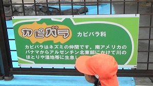 20181011105825(1)