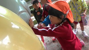 20181011114519(1)