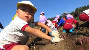 20181029103529(2)