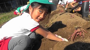 20181029103740(3)