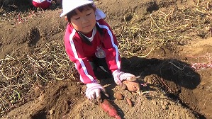 20181029103940(2)