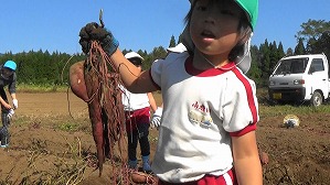 20181029104400(3)