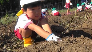 20181029104715(5)
