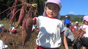 20181029104719(2)