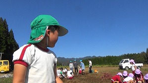 20181029105157(1)