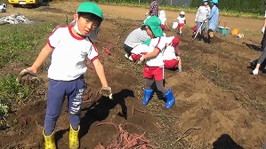 20181029105213(3)