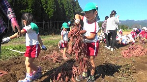 20181029105606(1)