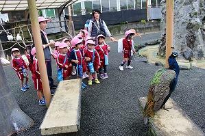 IMG_0225
