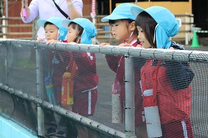 IMG_0230