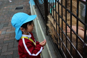 IMG_0240