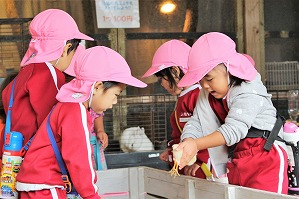 IMG_0245