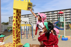 IMG_0432