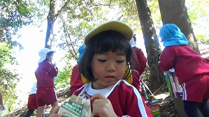 20181106112957(6)