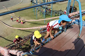 IMG_0586