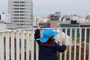 IMG_0990