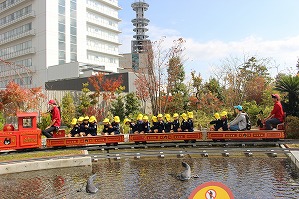 IMG_1179