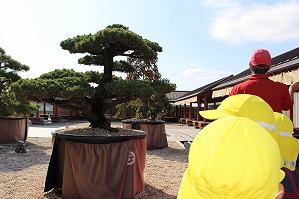 IMG_1227