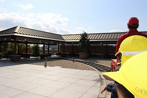 IMG_1229
