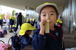 IMG_1293